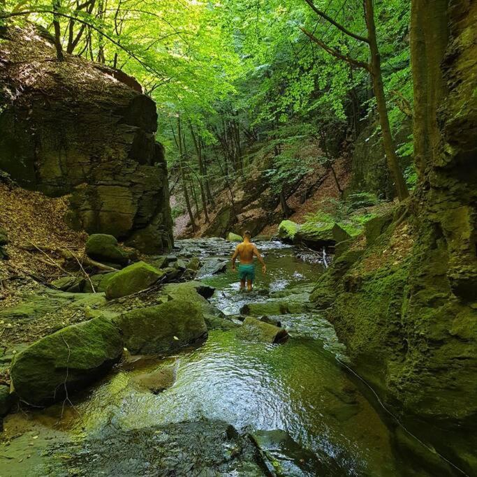 Waterfall A Frame, Maramures バイア·マーレ エクステリア 写真