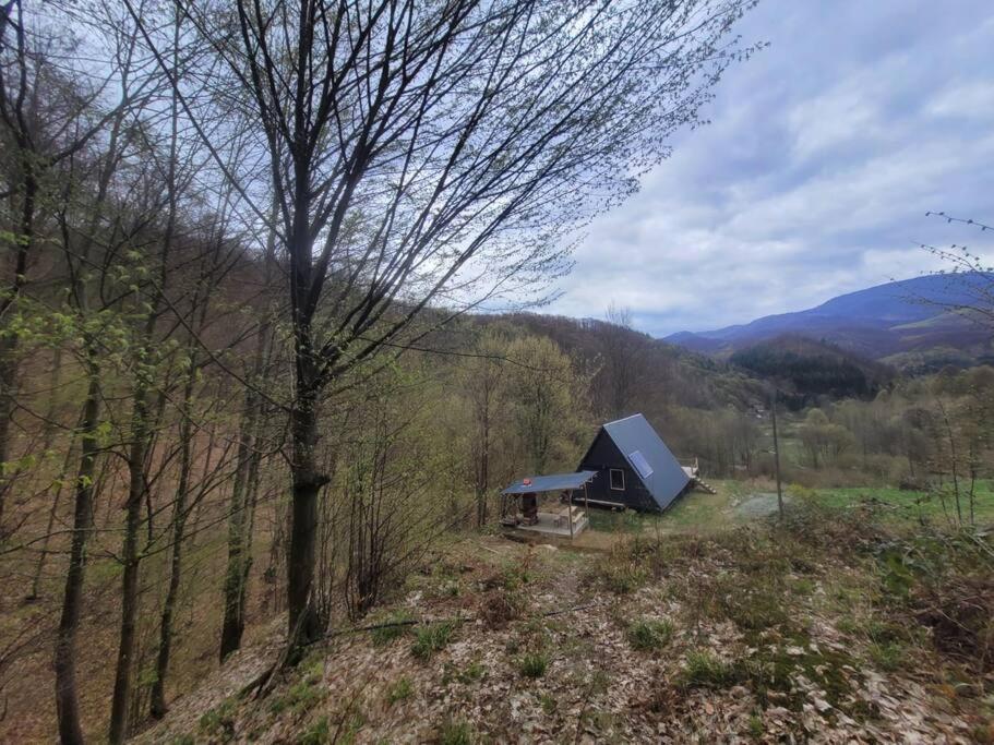 Waterfall A Frame, Maramures バイア·マーレ エクステリア 写真